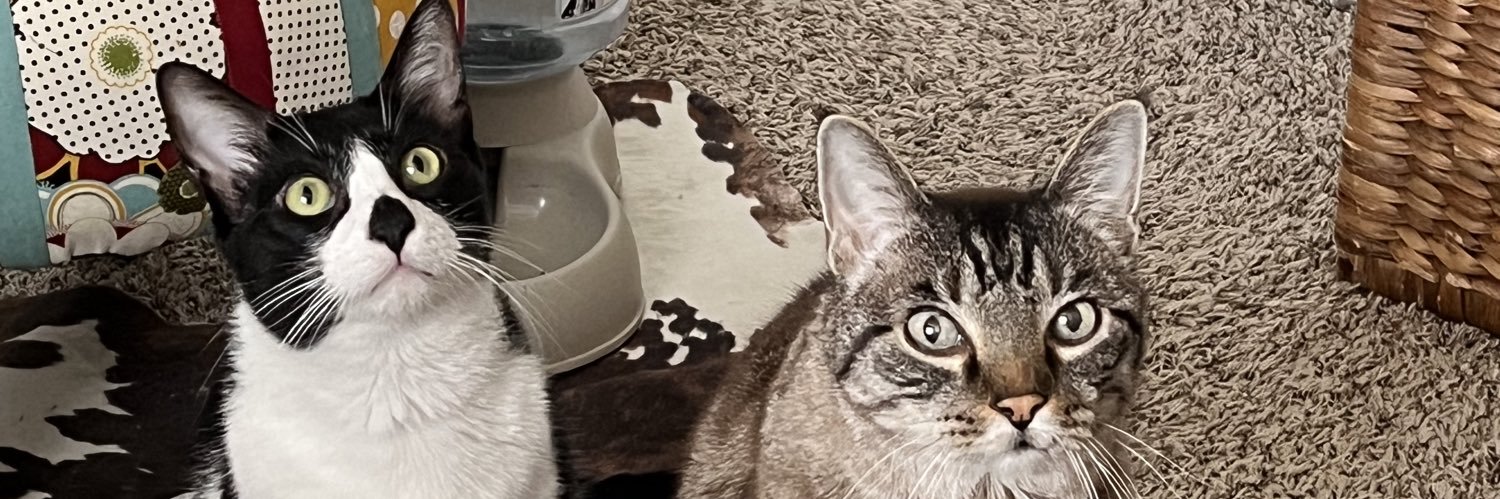bizzmarkie325's profile banner image