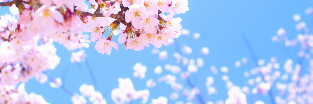 takinami001's profile banner image
