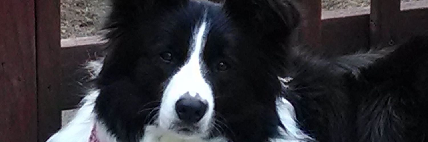 jake6688's profile banner image