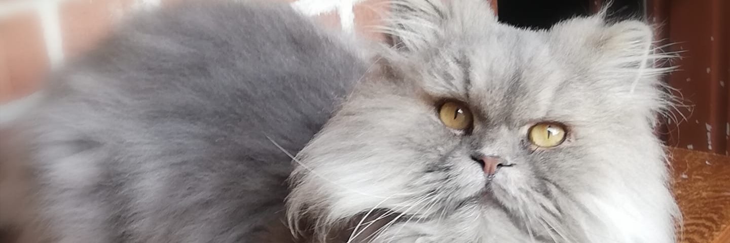 BecTophe's profile banner image