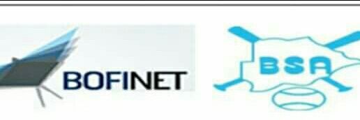 BotswanaSoftball Ass banner