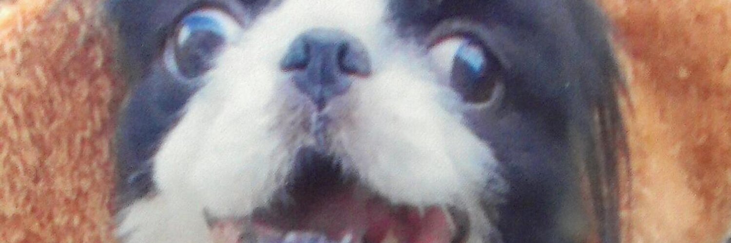 gugamaru's profile banner image