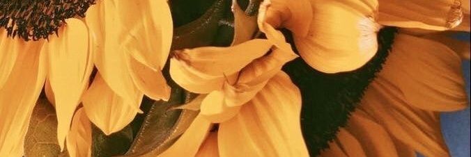 enne692's profile banner image