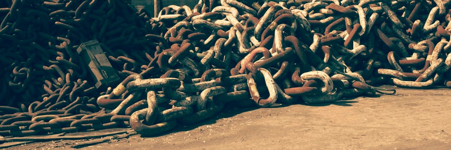 Anselmina Germanotta banner