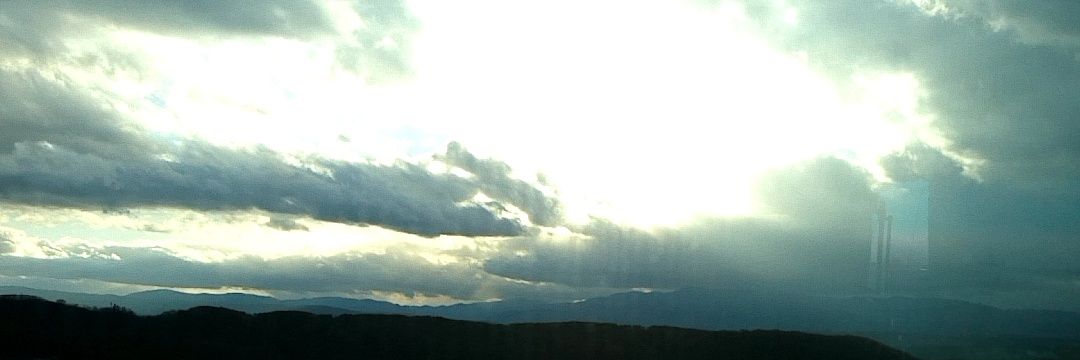 Rui🥝祝🐺16TH banner