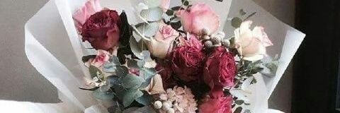 tika0396's profile banner image