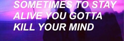 lory banner