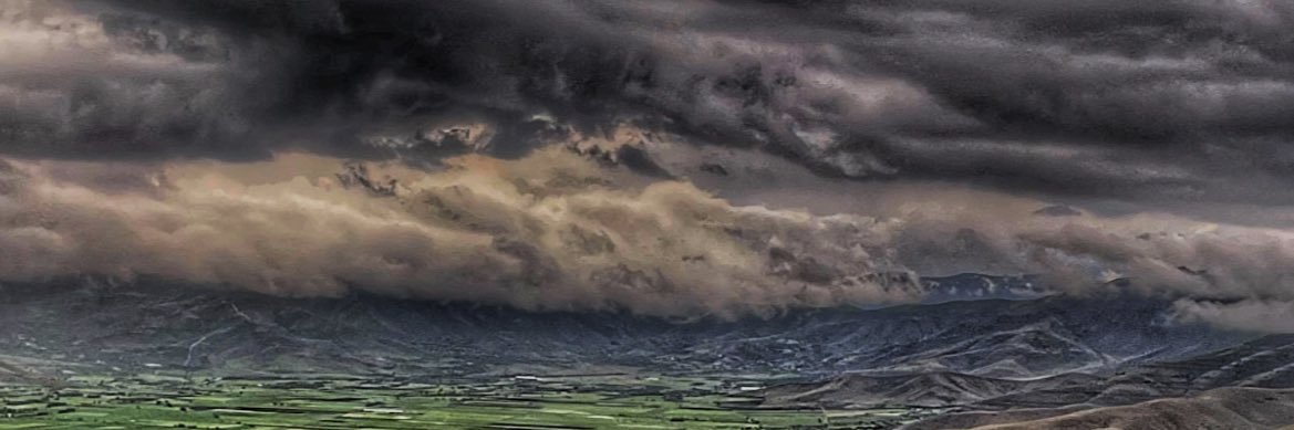 hayerguner's profile banner image