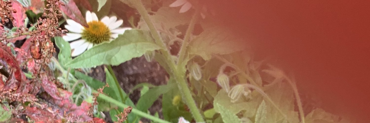 anakissed's profile banner image