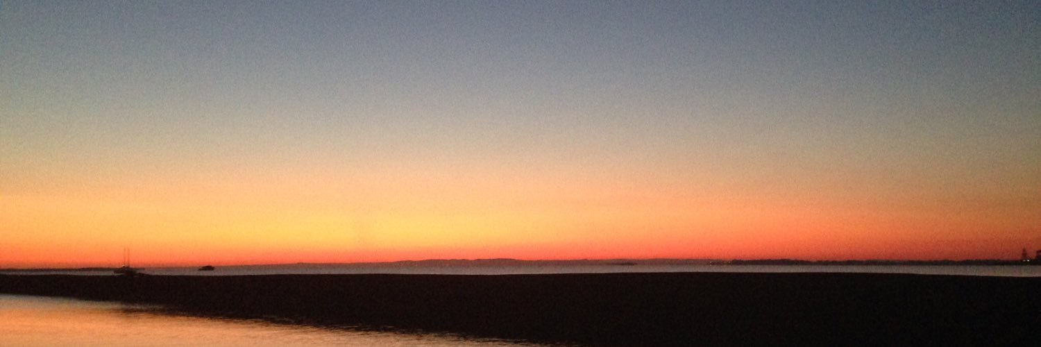 Georgie Bottomley banner