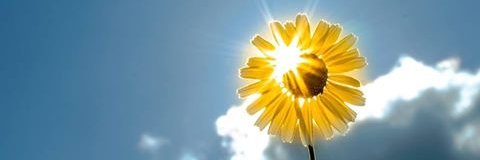 megolnet's profile banner image