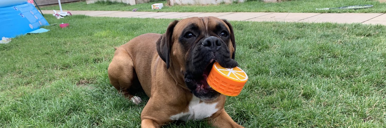 Kay Tart 🌈 🇺🇦 banner