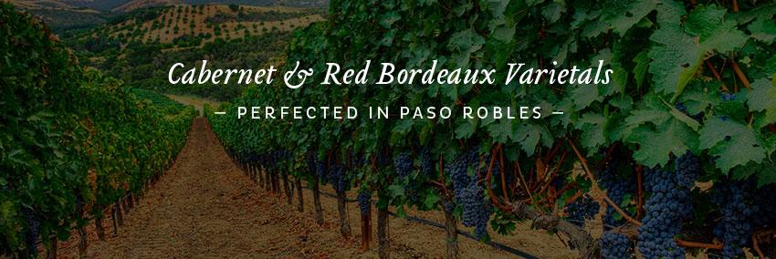 Paso CAB Collective banner