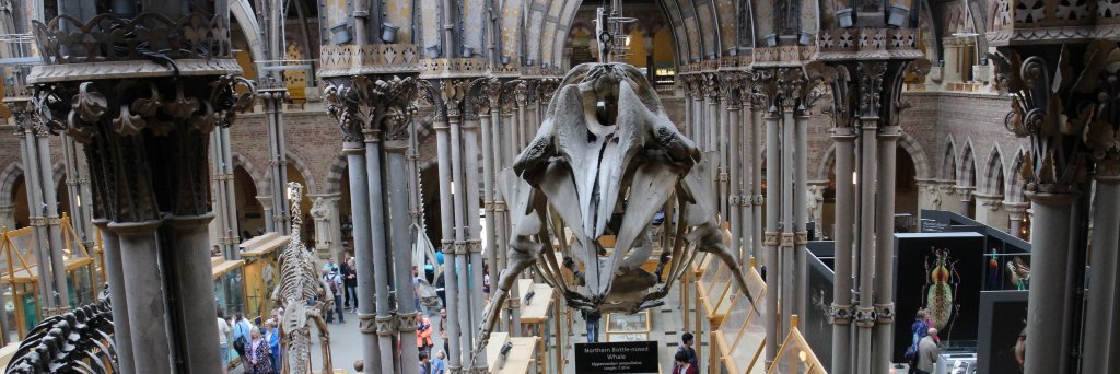 OxfordGargoyle's profile banner image