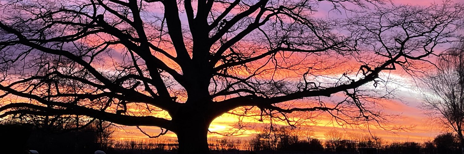 Lynette Hodge banner