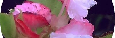 er39854592's profile banner image