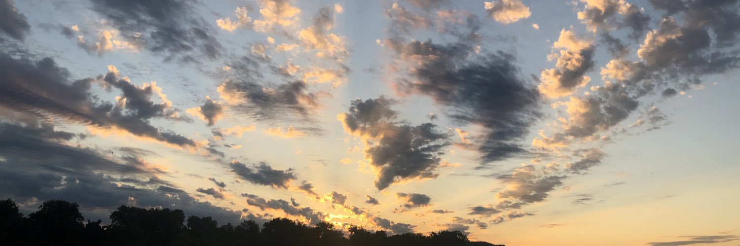 hsayner's profile banner image