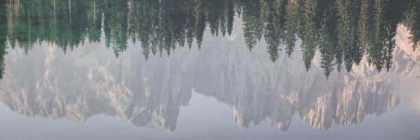 eslavaane Profile Banner