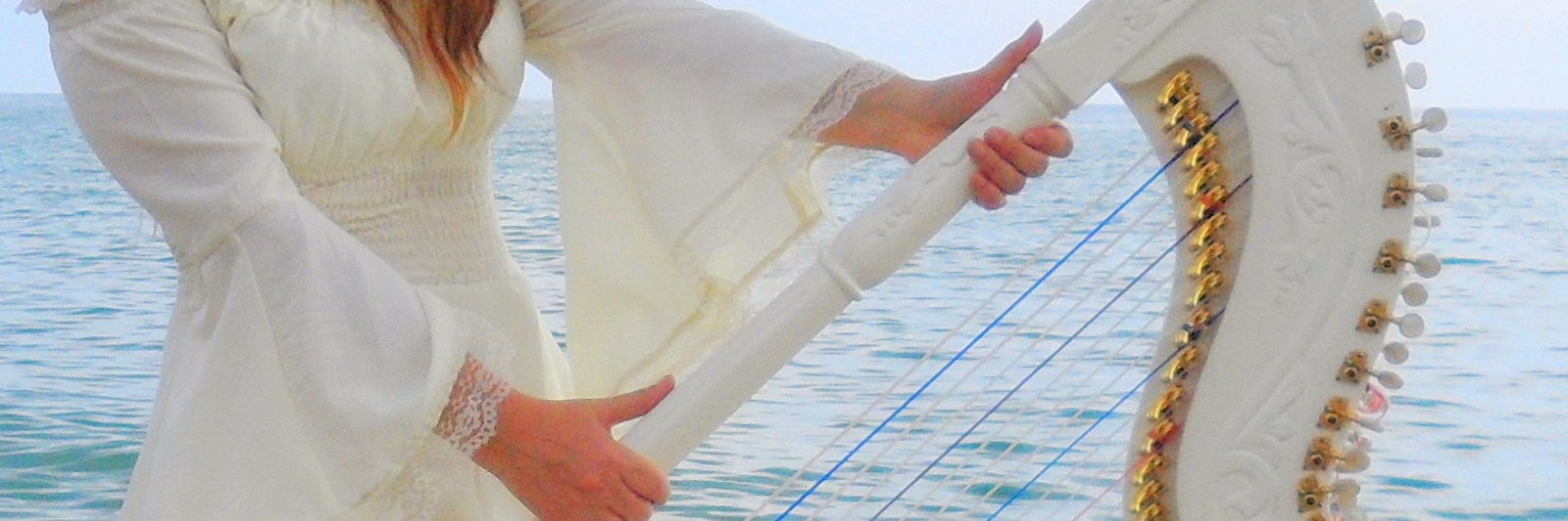 MartaHarp's profile banner image