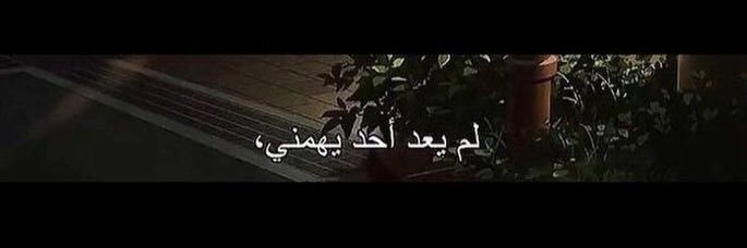 ماجده. banner