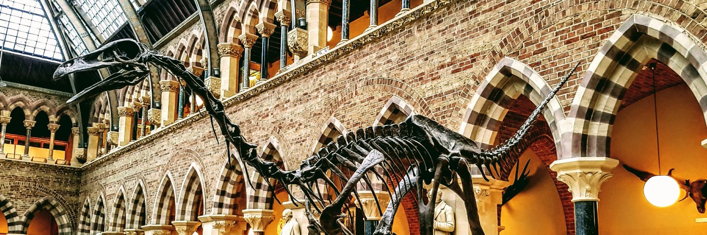 BensonLabOxford banner