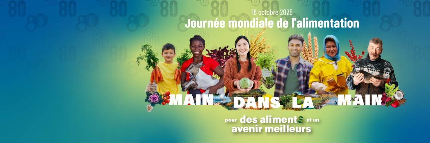 FAO au Niger banner