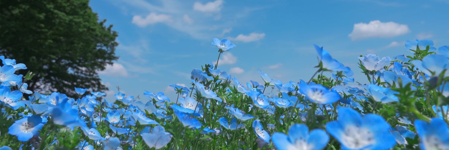 125kenn's profile banner image