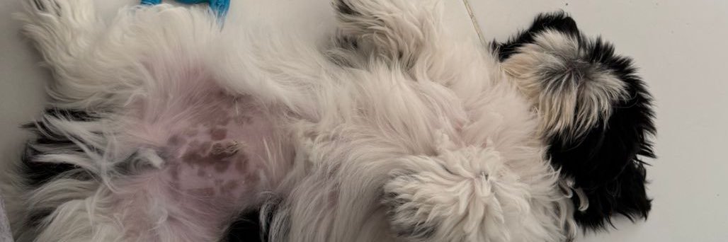 lfdlj31's profile banner image