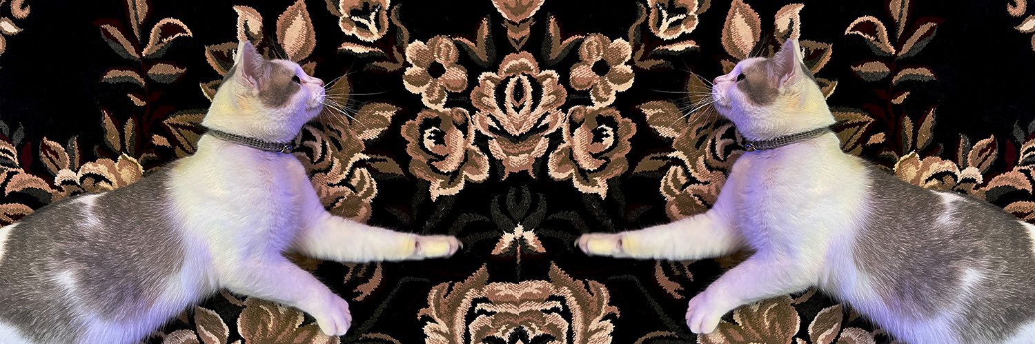 meetfahlevi's profile banner image