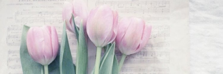 Kaa__01's profile banner image