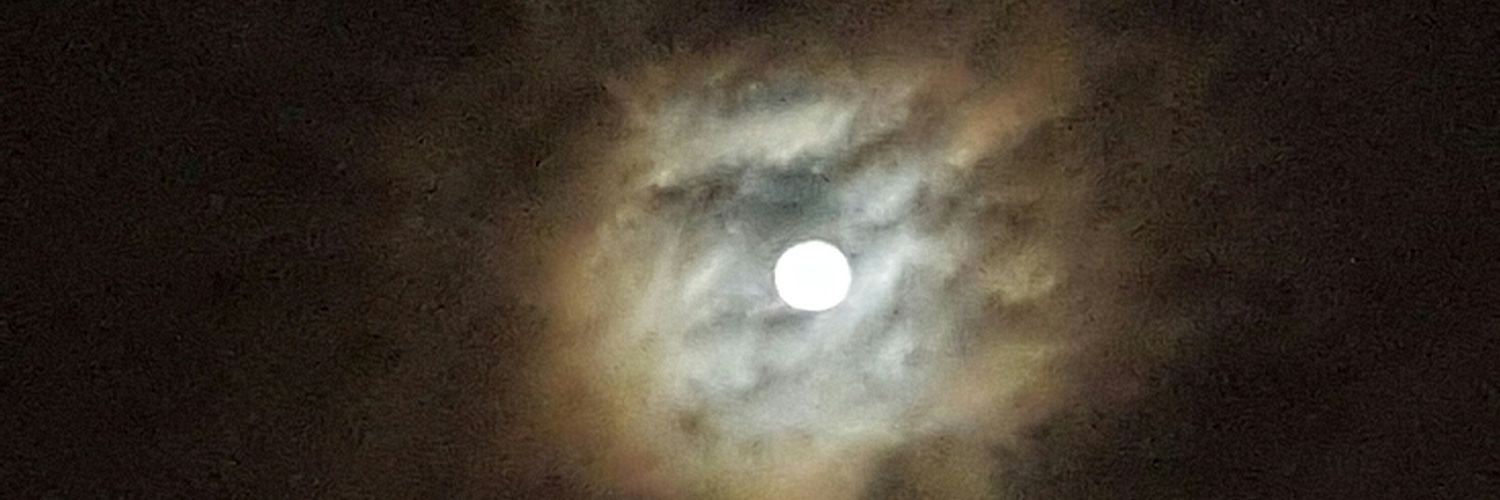nalinipalaniapp's profile banner image