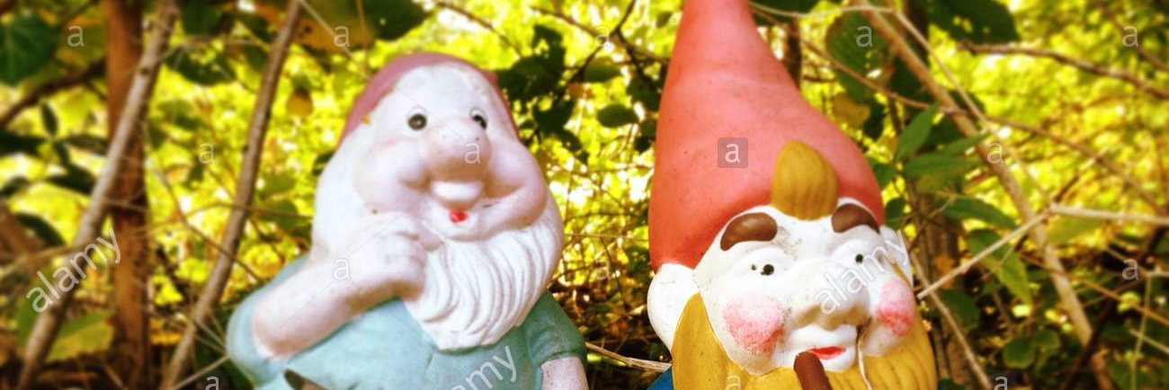 you_gnome's profile banner image