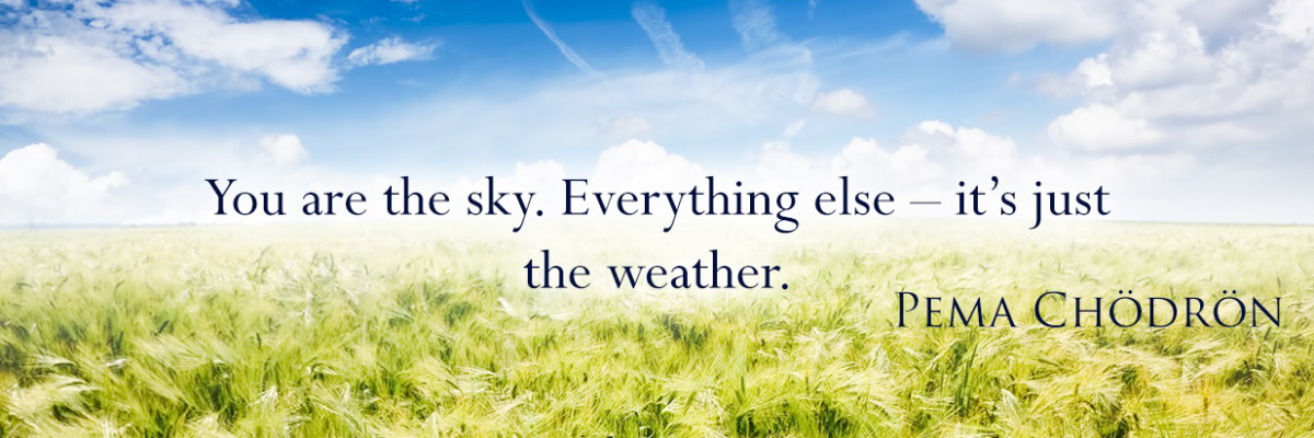 Andy Morrison banner