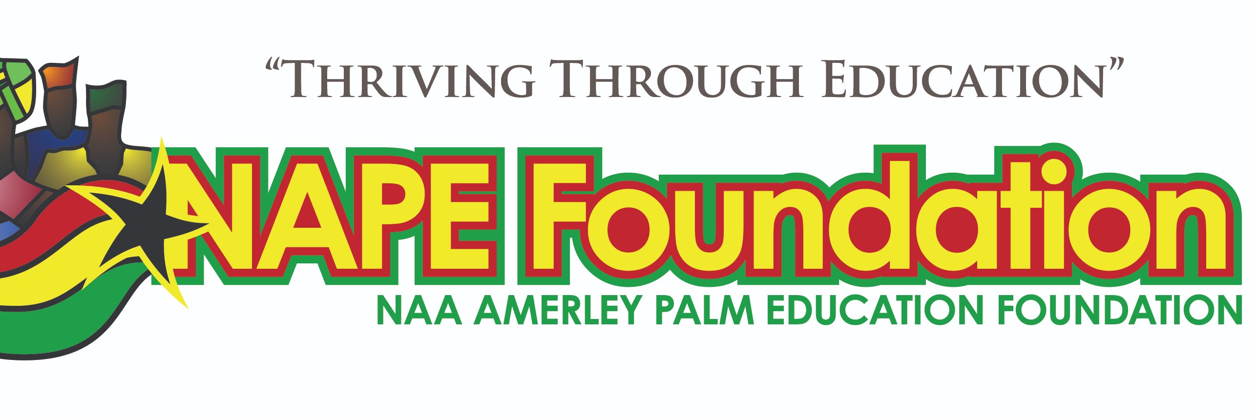 NAPEFoundation's profile banner image