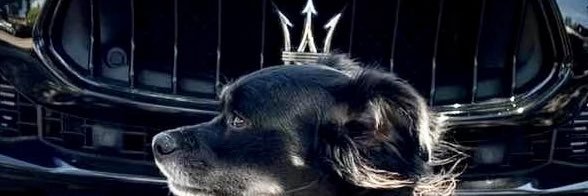 Christina Noren banner