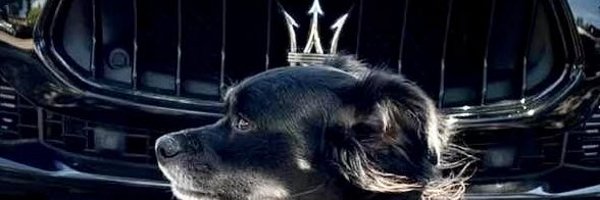 cfrln Profile Banner