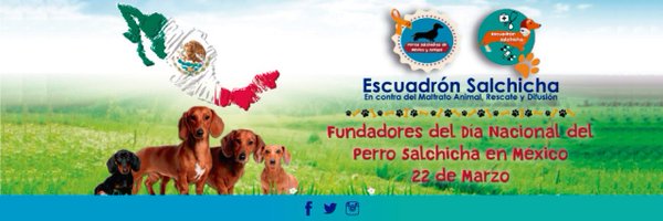 EscuadronSalchi Profile Banner