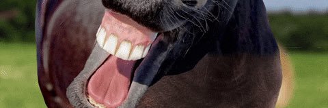 MegacosmReports's profile banner image