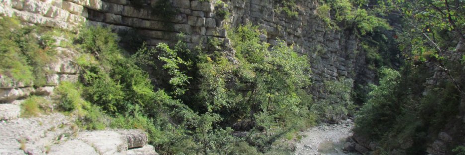 Boris Gailleton banner