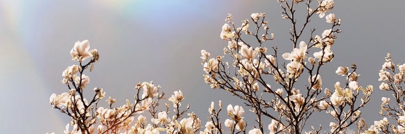 BPikey's profile banner image