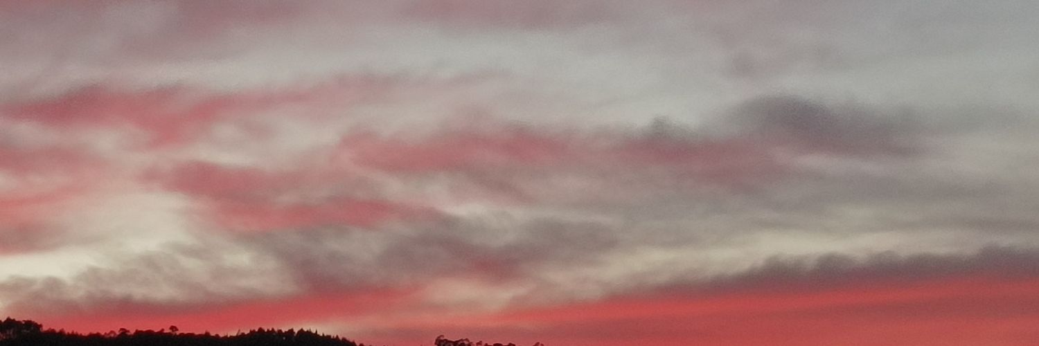 paulagg__'s profile banner image