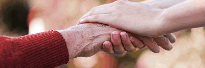 FRANCE TUTELLE banner