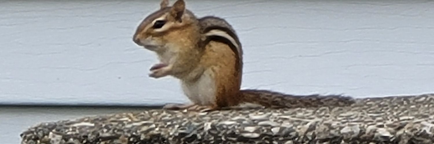 Andromeda Bennett banner