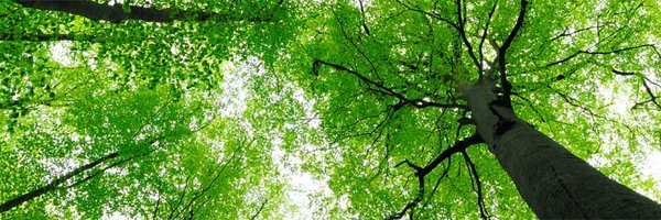 MValMartin Profile Banner