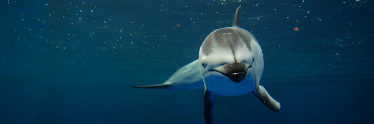 Sentience Institute banner