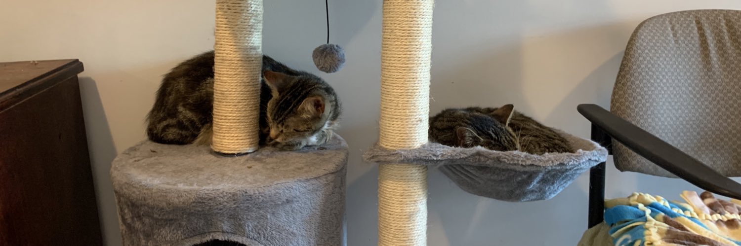 Comfie Cat Shelter banner