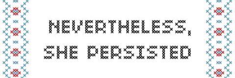 Indivisible SE Iowa banner