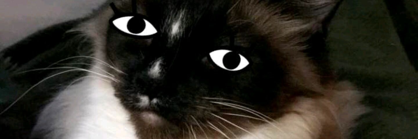 MrJacobSchmitty's profile banner image