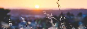 ems01231994's profile banner image