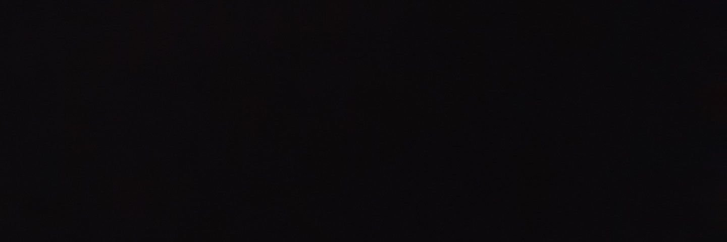 Lars banner